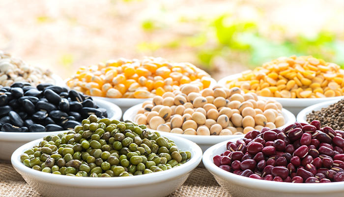 legumes and beans that are high in protein